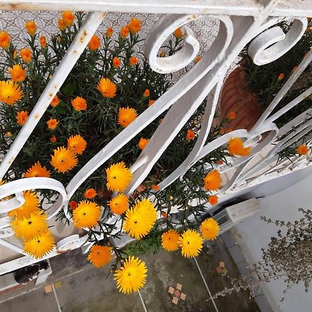 La Casa Di Rosa - Casa Vacanze Meta Εξωτερικό φωτογραφία