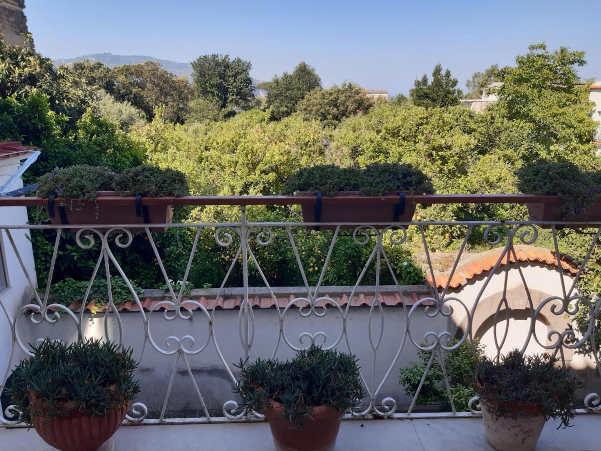 La Casa Di Rosa - Casa Vacanze Meta Εξωτερικό φωτογραφία