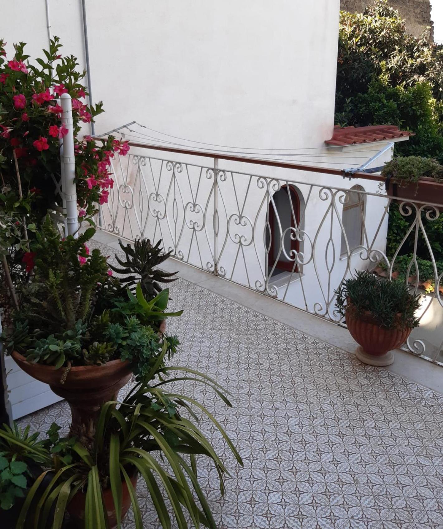 La Casa Di Rosa - Casa Vacanze Meta Εξωτερικό φωτογραφία